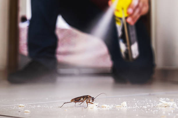 Pest Control for Restaurants in Carterville, IL